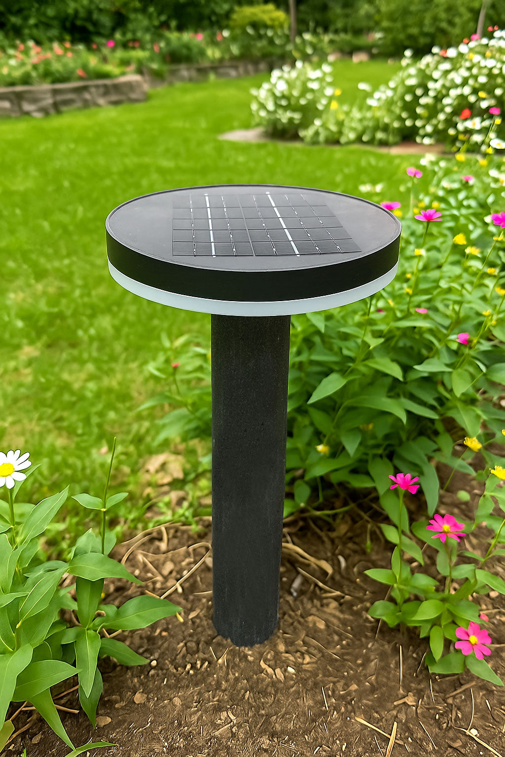 Halo (solar)